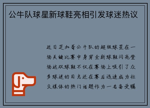 公牛队球星新球鞋亮相引发球迷热议